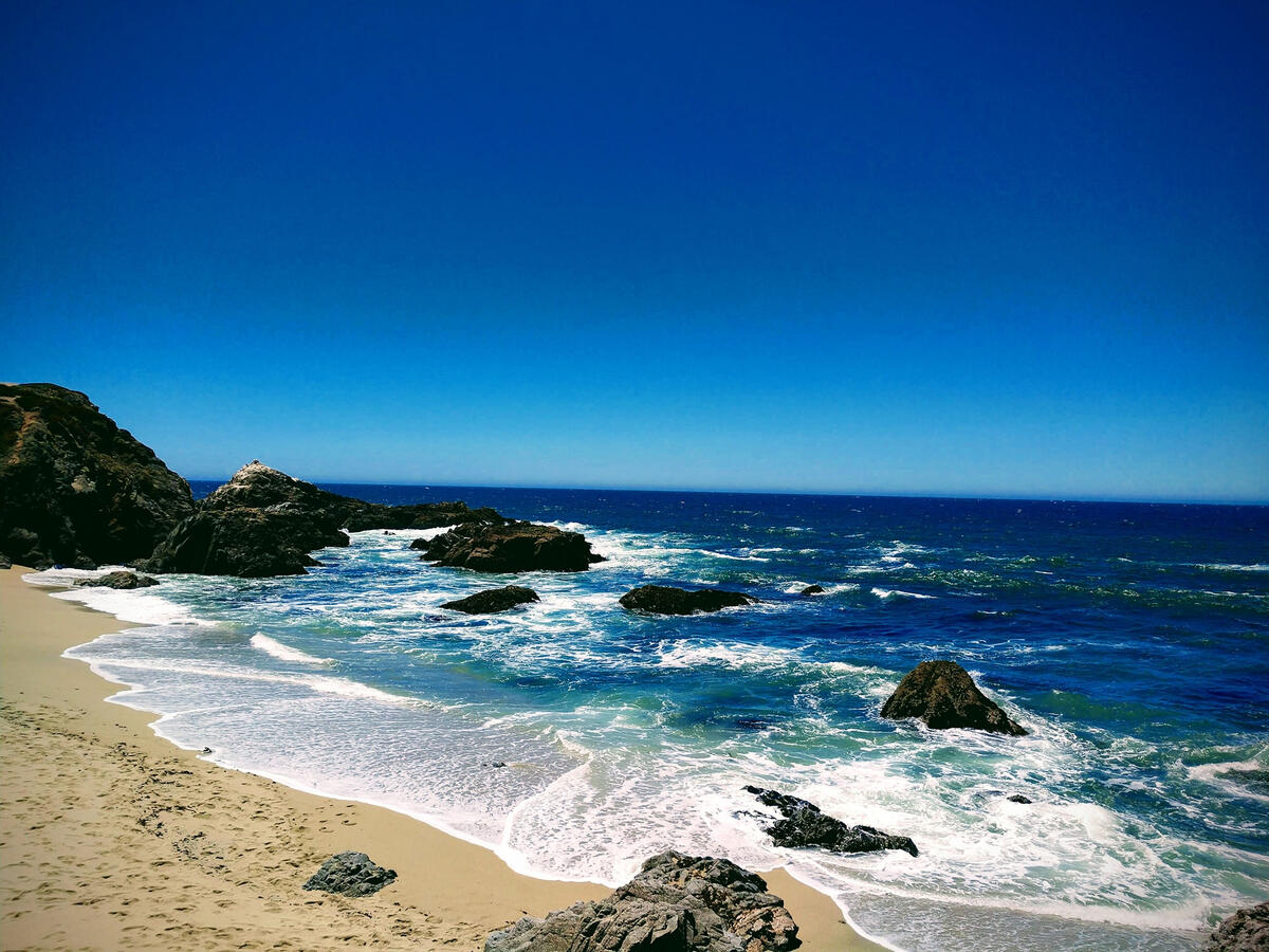 Michael Vollbrecht Visiting Bodega Bay, CA